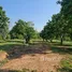  Land for sale in Chiang Rai, Huai Sak, Mueang Chiang Rai, Chiang Rai