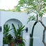 2 Kamar Rumah for rent in Kerobokan, Bali, Kerobokan, Badung, Bali