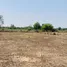  Land for sale in Buak Khang, San Kamphaeng, Buak Khang