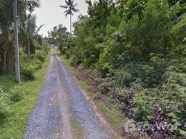  Terreno (Parcela) en venta en Land Plot Tala in Rawai, Rawai