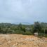  Land for sale in Surat Thani, Bo Phut, Koh Samui, Surat Thani