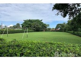  Land for sale at Alajuela, San Ramon