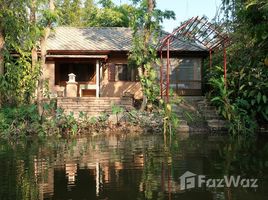 1 Schlafzimmer Haus zu vermieten in Thailand, Pa Lan, Doi Saket, Chiang Mai, Thailand