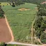  Land for sale in Nong Bua Lam Phu, Hua Na, Mueang Nong Bua Lam Phu, Nong Bua Lam Phu