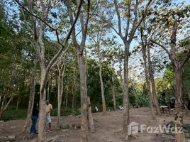 ขายที่ดิน ใน แม่น้ำ, สุราษฎร์ธานี, แม่น้ำ, เกาะสมุย, สุราษฎร์ธานี