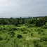 在波普托, 苏梅岛出售的 土地, 波普托