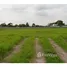  Land for sale at San Pablo, San Pablo, Heredia