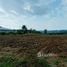  Land for sale in Thailand, Mae Kha, Fang, Chiang Mai, Thailand