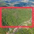  Земельный участок for sale in Карон, Пхукет, Карон, Пхукет Тощн