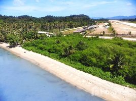  Land for sale in the Philippines, San Vicente, Palawan, Mimaropa, Philippines