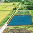  Земельный участок for sale in Khlong Yong, Nakhon Pathom, Khlong Yong