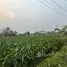 ขายที่ดิน ใน หนองหาร, เชียงใหม่, หนองหาร, สันทราย, เชียงใหม่