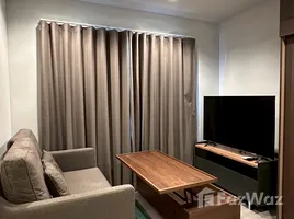 อพาร์ทเม้นท์ 1 ห้องนอน ให้เช่า ในโครงการ ไลฟ์ อโศก พระราม 9, มักกะสัน