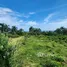 Terrain à vendre à San Felipe De Puerto Plata, Puerto Plata, San Felipe De Puerto Plata