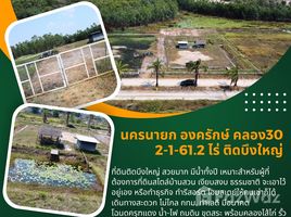  토지을(를) Nakhon Nayok에서 판매합니다., Bang Pla Kot, Ongkharak, Nakhon Nayok