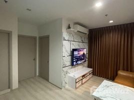 2 Bedroom Condo for rent at Life Sukhumvit 48, Phra Khanong, Khlong Toei