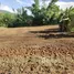  Land for sale in Mae Win, Chiang Mai, Mae Win, Mae Wang, Chiang Mai