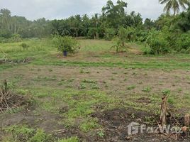 ขายที่ดิน ใน นาชะอัง, ชุมพร, นาชะอัง, เมืองชุมพร