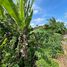  Land for sale in Tumbak Bayuh, Bali, Tumbak Bayuh, Badung, Bali