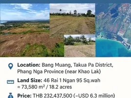 ขายที่ดิน ใน บางม่วง, พังงา, บางม่วง