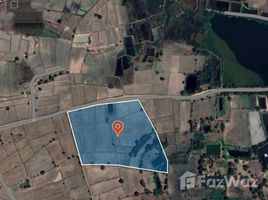 ขายที่ดิน ใน หนองมะนาว, นครราชสีมา, หนองมะนาว, คง