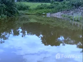 1 Schlafzimmer Haus zu verkaufen in Presidente Figueiredo, Amazonas, Presidente Figueiredo, Amazonas, Brasilien