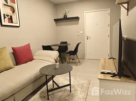 1 Bedroom Condo for rent at Plum Condo Sukhumvit 62, Bang Chak, Phra Khanong, Bangkok, Thailand