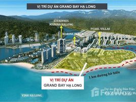 Studio Villa zu verkaufen in Ha Long, Quang Ninh, Hung Thang, Ha Long, Quang Ninh