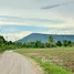  Land for sale in Wang Sai, Nakhon Ratchasima, Wang Sai, Pak Chong, Nakhon Ratchasima