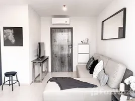 Studio Apartment for sale at Elio Del Nest, Bang Na, Bang Na