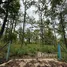  Land for sale in Mae Rim Chiang Mai, Mae Raem, Mae Rim, Chiang Mai