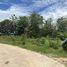  Land for sale in Phran Kratai, Kamphaeng Phet, Tha Mai, Phran Kratai