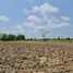  Land for sale in Mueang Chiang Rai Chiang Rai, Huai Sak, Mueang Chiang Rai, Chiang Rai, Thailand