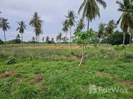 Terrain à vendre à Pran Buri, Hua Hin, Pran Buri, Pran Buri