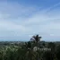 Land for sale in Bo Phut, Koh Samui, Bo Phut