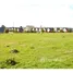  Land for sale at Valdivia, Mariquina