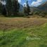  Land for sale in Urubamba Cusco, Ollantaytambo, Urubamba
