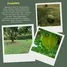  Land for sale in San Mateo, Alajuela, San Mateo