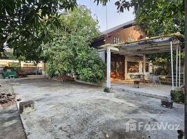 บ้านเดี่ยว สตูดิโอ ให้เช่า ในทำเล บางจาก, กรุงเทพมหานคร, บางจาก