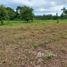  Land for sale in Amazonas, Presidente Figueiredo, Presidente Figueiredo, Amazonas