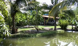 2 Schlafzimmern Haus zu verkaufen in Tha Chang, Nakhon Ratchasima 