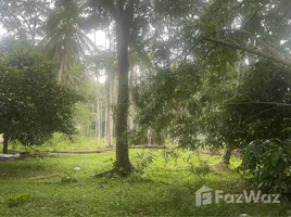 Grundstück zu verkaufen in Ao Nang, Krabi, Ao Nang, Mueang Krabi, Krabi