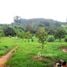  Land for sale in Thailand, Bung Namtao, Lom Sak, Phetchabun, Thailand