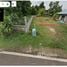  Land for sale in Chum Het, Buri Ram, Chum Het