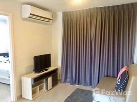 2 chambre Condominium à vendre à The Excel Hideaway Lasalle 11., Suan Luang