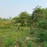  Land for sale in Chiang Dao, Chiang Mai, Chiang Dao, Chiang Dao