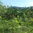 Terrain à vendre à Puerto Plata, San Felipe De Puerto Plata