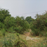  Land for sale in Nakhon Sawan, Nong Pling, Mueang Nakhon Sawan, Nakhon Sawan