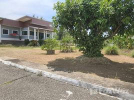  Земельный участок for sale in Nong Khwai, Чианг Маи, Nong Khwai, Ханг Донг, Чианг Маи