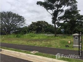  Земельный участок for sale in La Union, Cartago, La Union